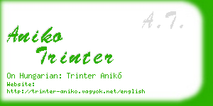 aniko trinter business card