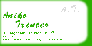 aniko trinter business card